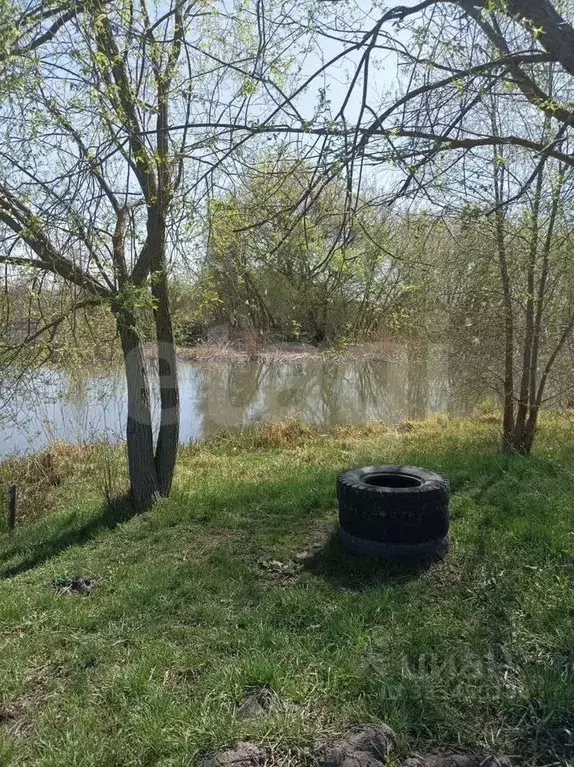 Участок в Белгородская область, Шебекино ул. Вити Захарченко (8.7 ... - Фото 1