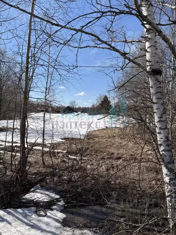 Участок в Нижегородская область, Бор муниципальный округ, д. Марково ... - Фото 1