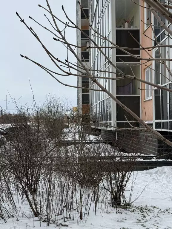 Студия Санкт-Петербург пос. Шушары, просп. Новгородский, 7к2 (22.3 м) - Фото 2