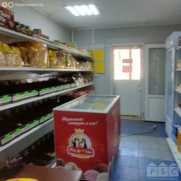 Помещение свободного назначения (55.9 м) - Фото 2