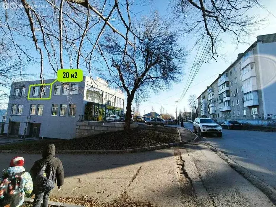 Офис (20 м) - Фото 1