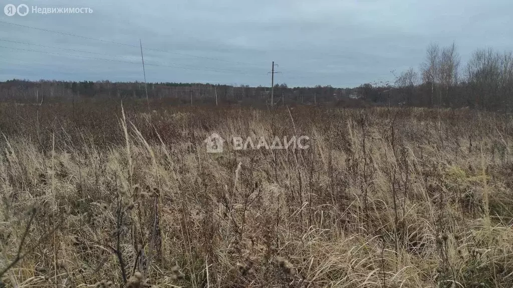 Участок в Судогодский район, муниципальное образование Лавровское, ... - Фото 1