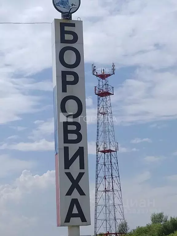 Участок в Алтайский край, Первомайский район, с. Боровиха ... - Фото 1