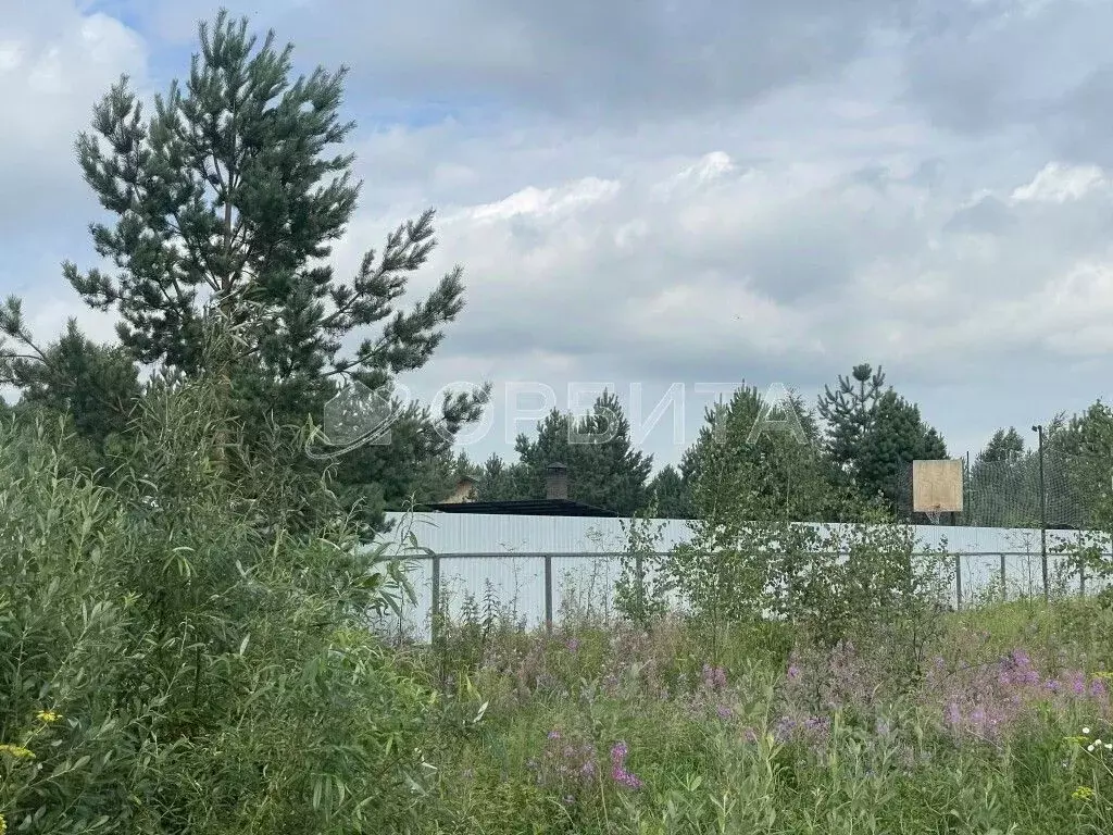 Участок в Тюменская область, Тюменский муниципальный округ, с. ... - Фото 2