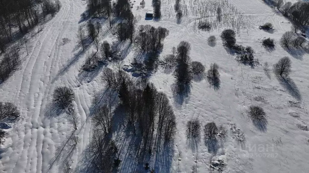 Участок в Московская область, Волоколамский муниципальный округ, д. ... - Фото 2