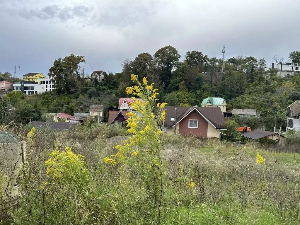 Участок в Краснодарский край, Сочи городской округ, с. Раздольное  ... - Фото 1