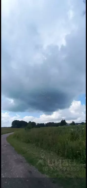 Участок в Новосибирская область, Новосибирский район, Мичуринский ... - Фото 2