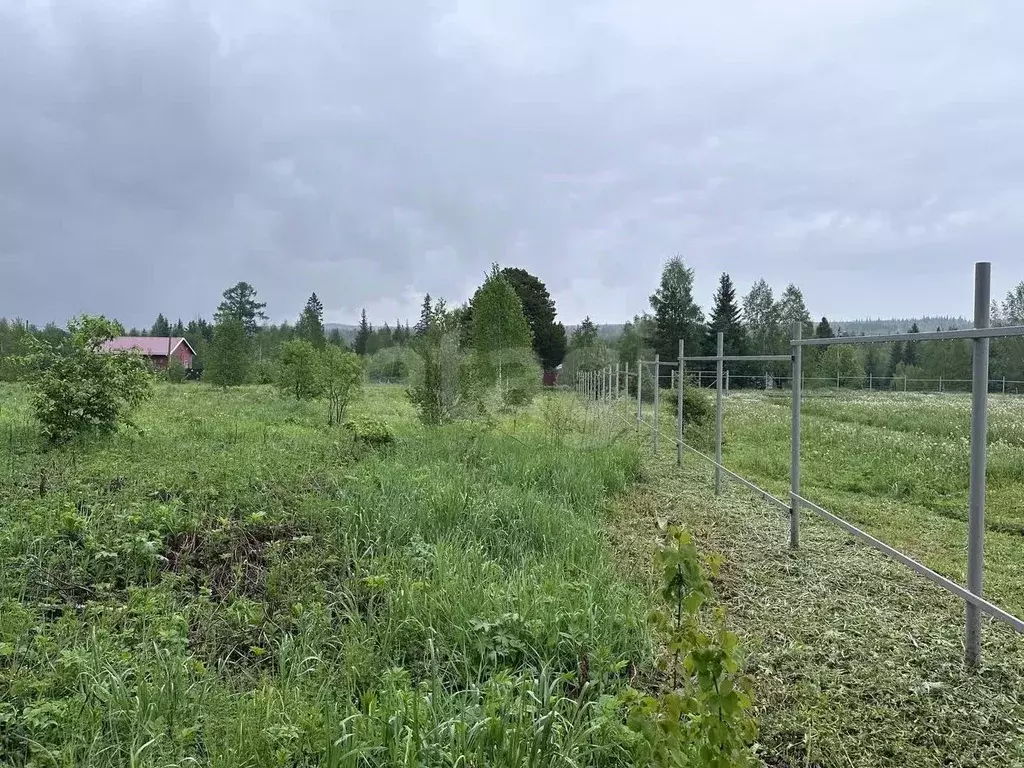 Участок в Свердловская область, Первоуральск муниципальный округ, д. ... - Фото 1