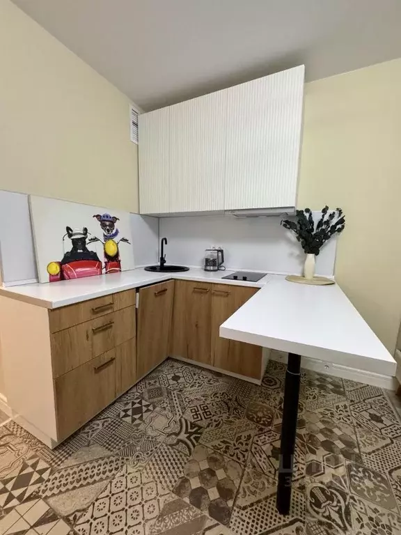 Студия Москва просп. Прокшинский, 12 (22.5 м) - Фото 2