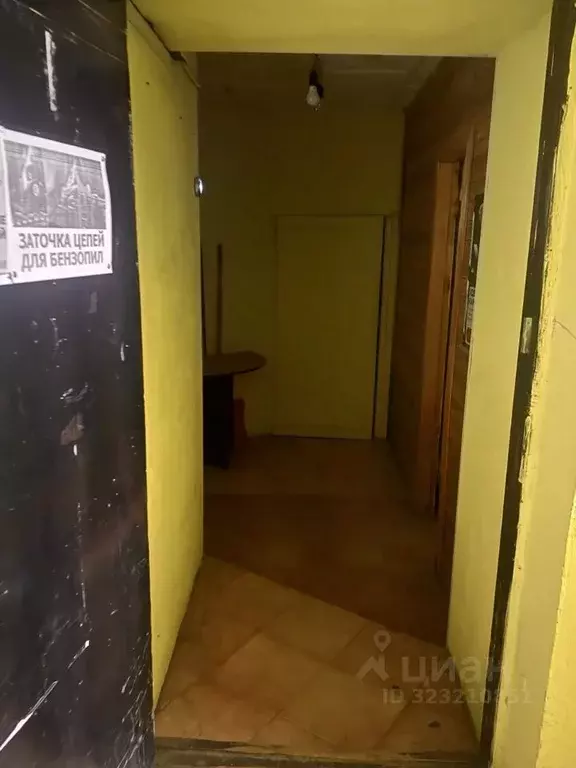 Помещение свободного назначения в Пермский край, Лысьва ул. Мира, 14 ... - Фото 1