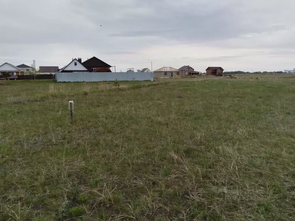 Участок в Ульяновская область, Чердаклы рп ул. Камышинская (8.0 сот.) - Фото 1