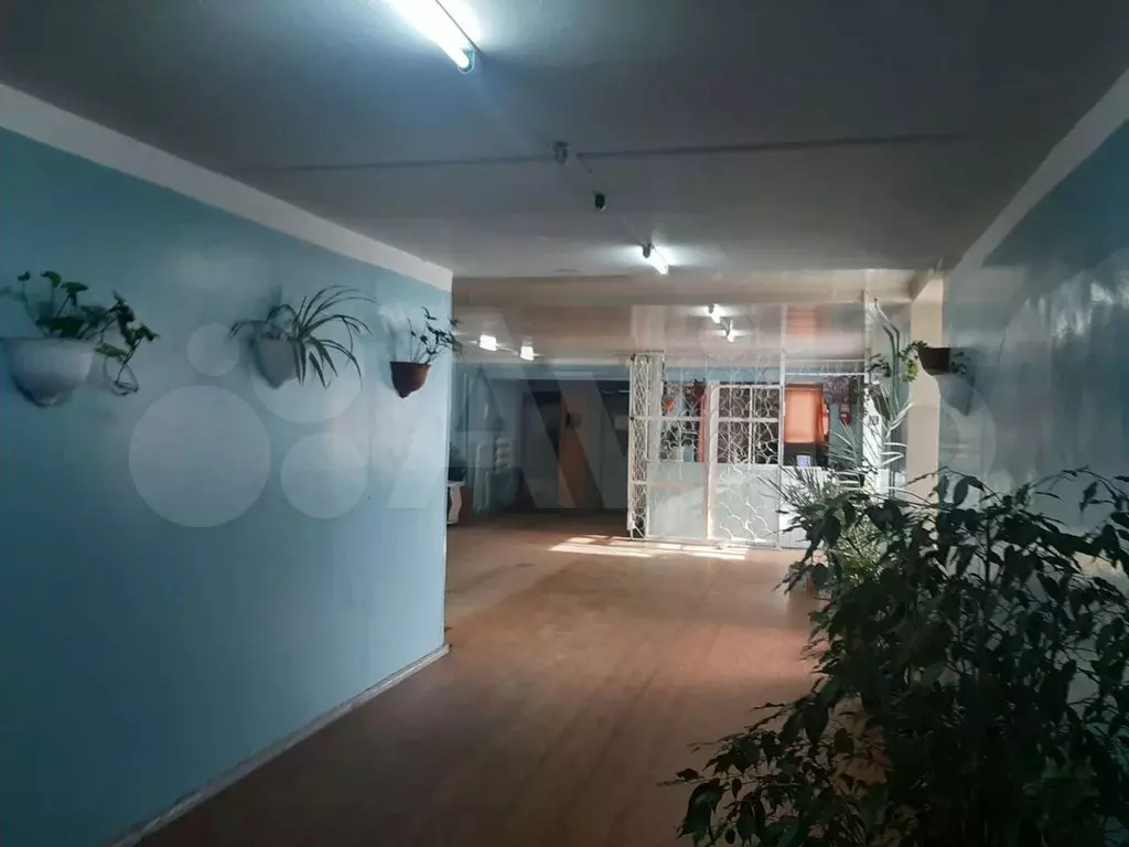 Гостиница братская номера. Комсомольская 77 братск. Комнаты братск. Крылатый братск санаторий. Комнаты братск.