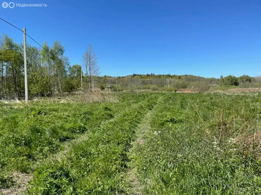 Участок в Калининградская область, Зеленоградский муниципальный округ, ... - Фото 1
