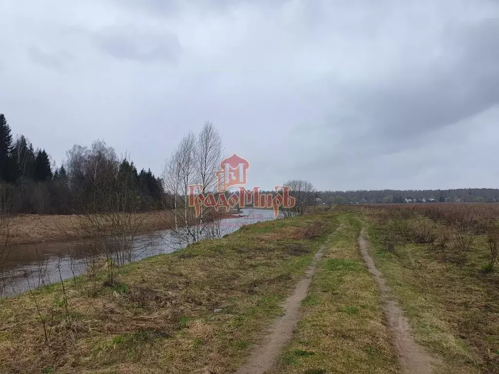 Участок в Московская область, Дмитровский муниципальный округ, д. ... - Фото 1