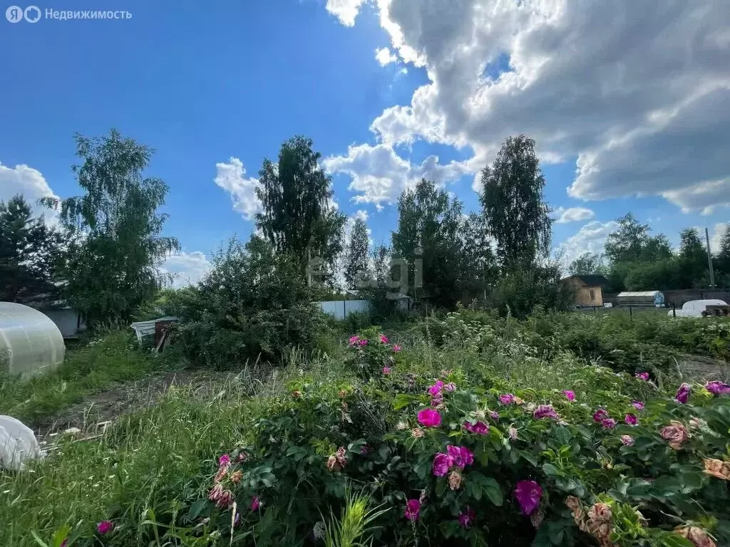 Участок в Томский район, садовое товарищество Надежда (8.2 м) - Фото 0