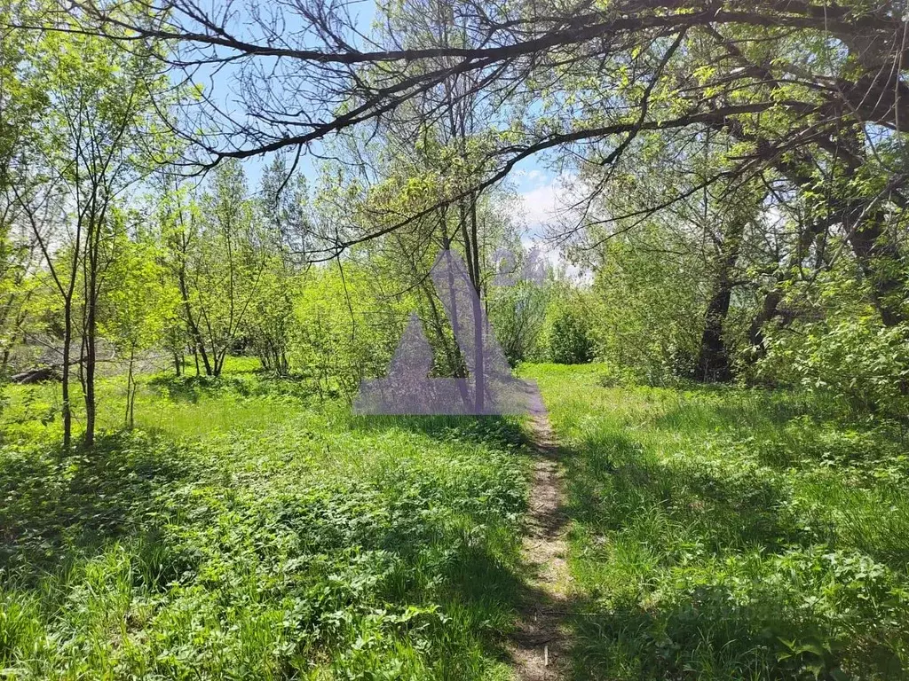 Участок в Алтайский край, Алтайский район, с. Алтайское ул. Ершова, 33 ... - Фото 1