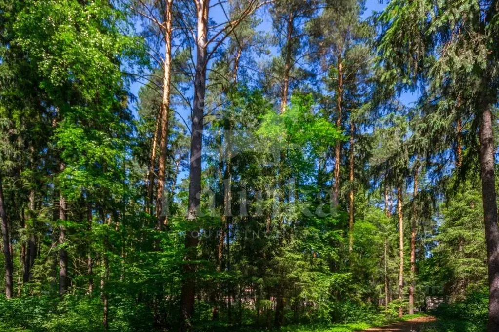 Участок в Московская область, Звенигород Одинцовский городской округ, ... - Фото 2