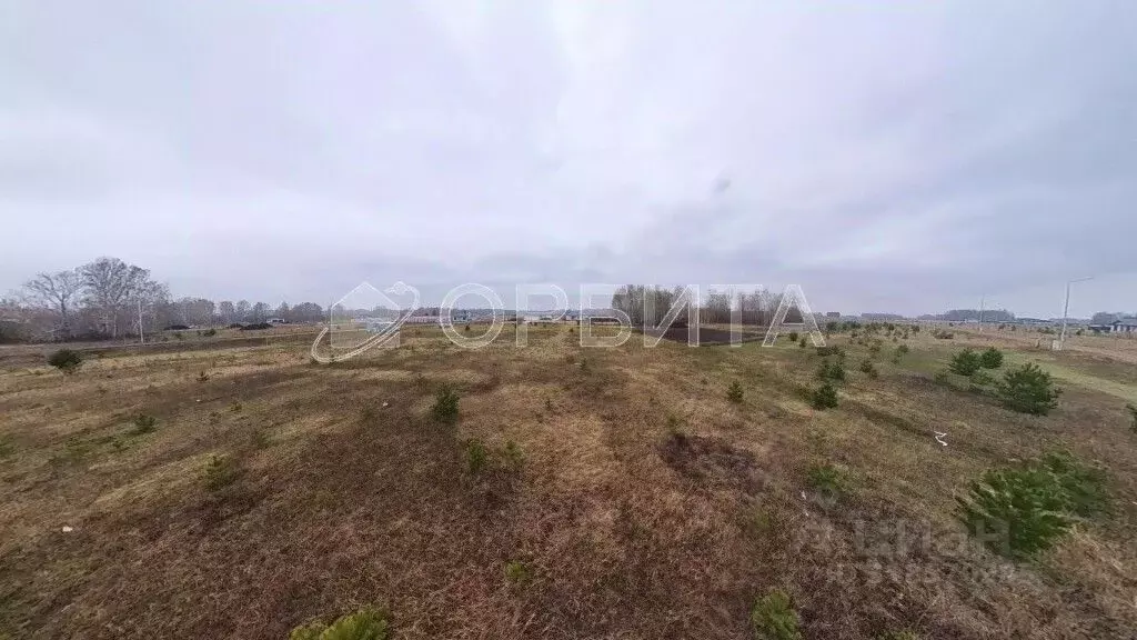 Участок в Тюменская область, Тюменский район, Новокаменский кп ул. ... - Фото 1