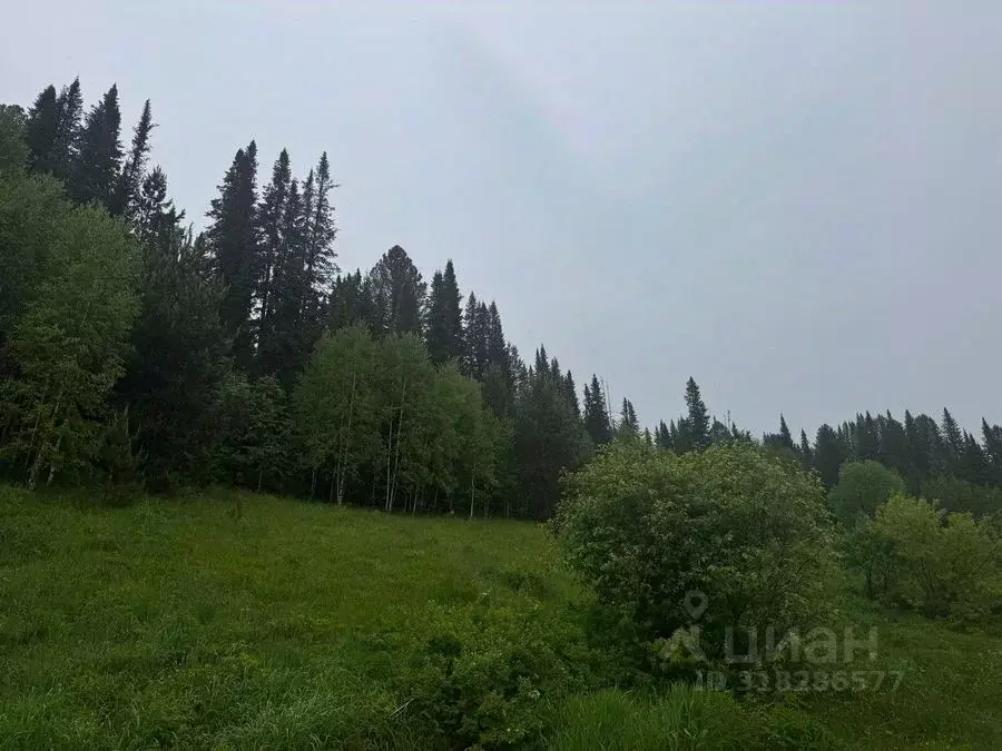 Участок в Кемеровская область, Таштагольский район, Каларское с/пос, ... - Фото 1