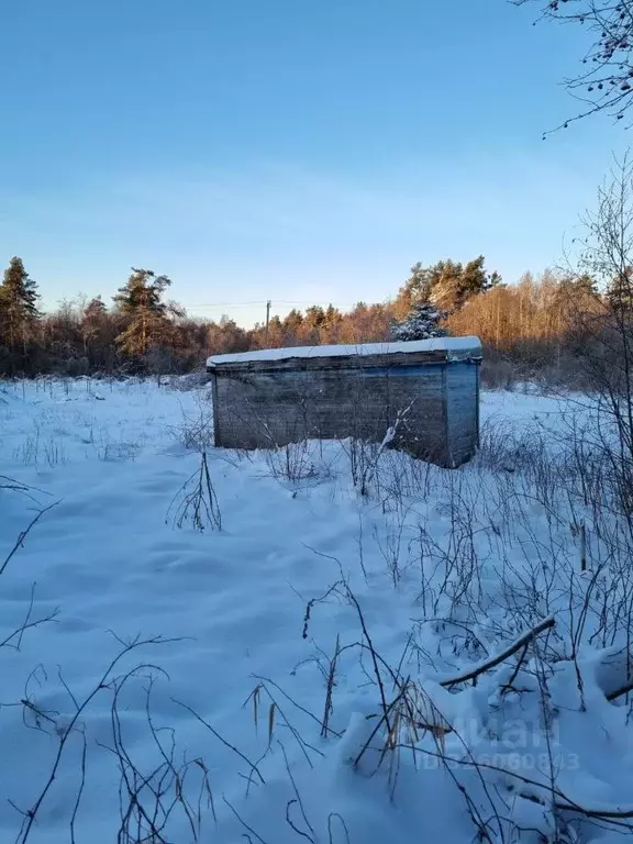 Участок в Ленинградская область, Приозерский район, Ларионовское ... - Фото 1