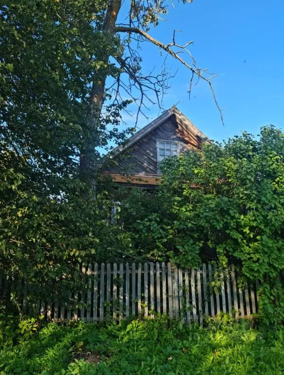 Дом в Ярославская область, Угличский район, Головинское с/пос  (54 м) - Фото 2