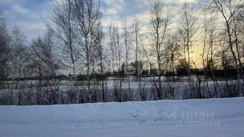 Участок в Тюменская область, Тюмень Велижанский тракт, 7-й км (50.0 ... - Фото 2