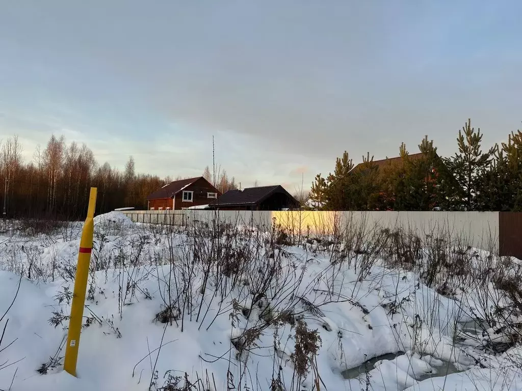 Участок в Вологодская область, Череповецкий район, д. Ирдоматка  (10.0 ... - Фото 1