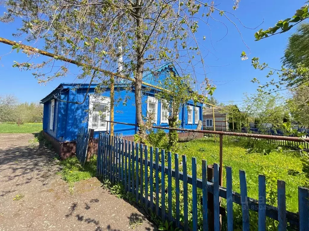 Дом в Мордовия, с. Лямбирь ул. Садовая, 27 (69 м) - Фото 1