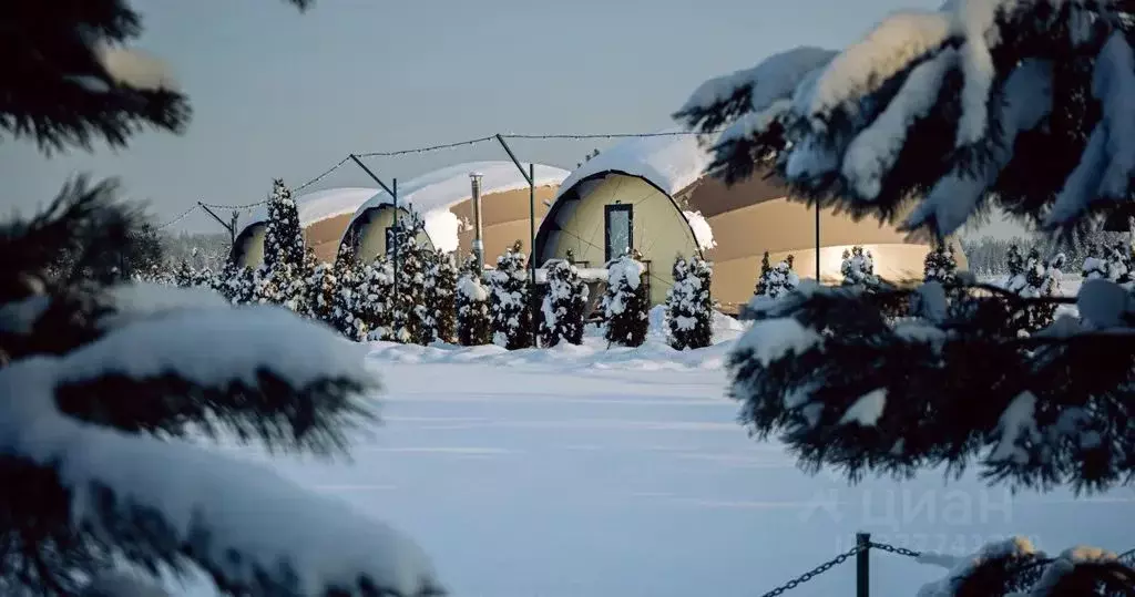 Дом в Московская область, Рузский муниципальный округ, д. Лобково 498 ... - Фото 2