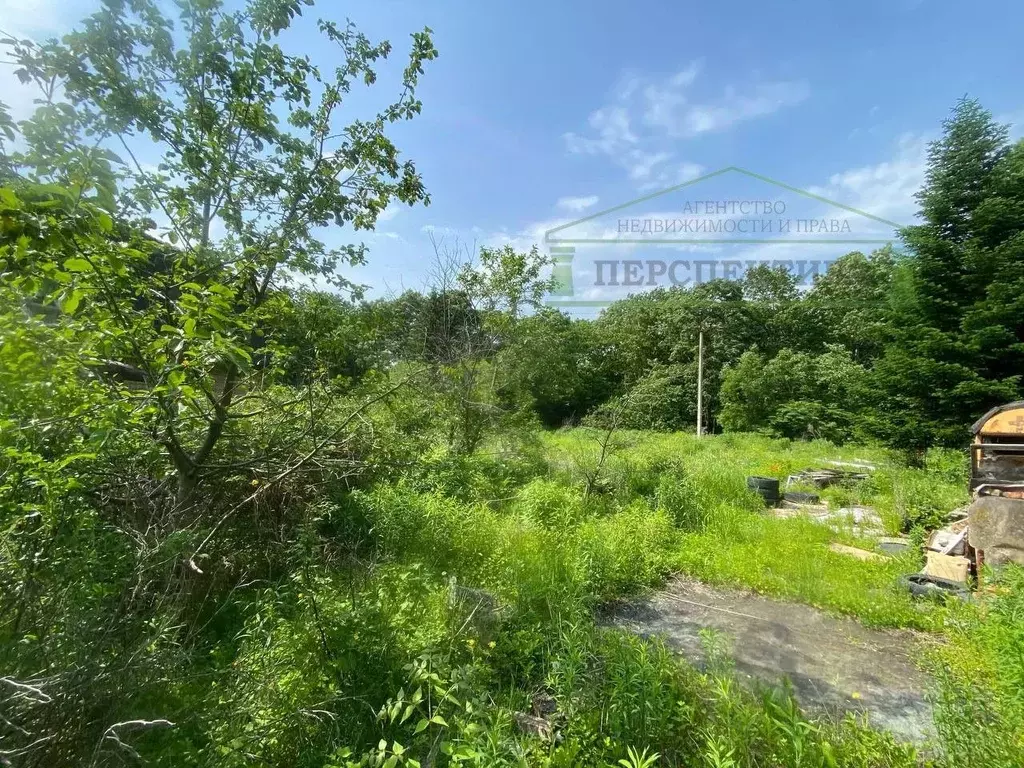 Участок в Приморский край, Надеждинский район, Вираж-1 СДТ 21 (9.0 ... - Фото 1