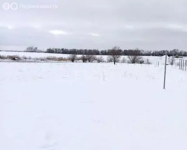 Участок в Ярославская область, Некрасовский муниципальный округ, ... - Фото 1