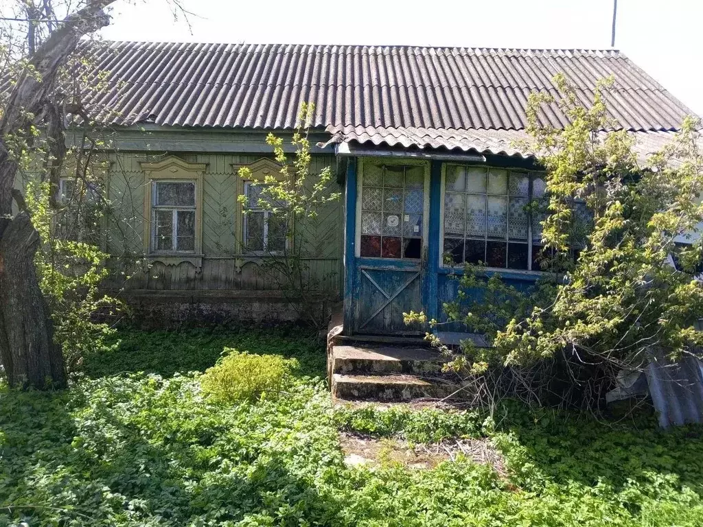 Дом в Московская область, Серебряные Пруды муниципальный округ, с. ... - Фото 1