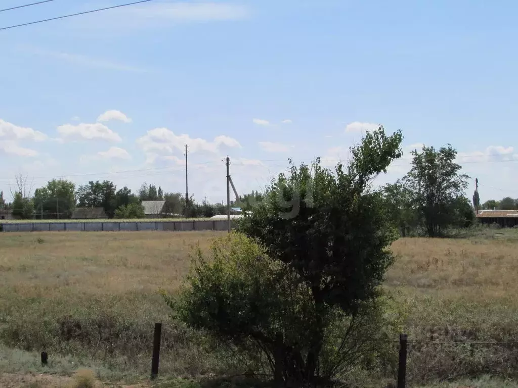 Участок в Волгоградская область, Быковский район, Новоникольское ... - Фото 2