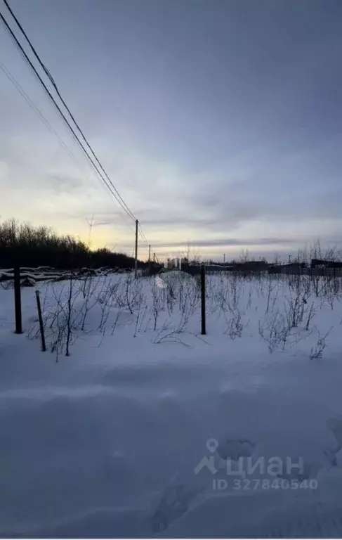 Участок в Саратовская область, Энгельсский район, пос. Новопушкинское ... - Фото 2