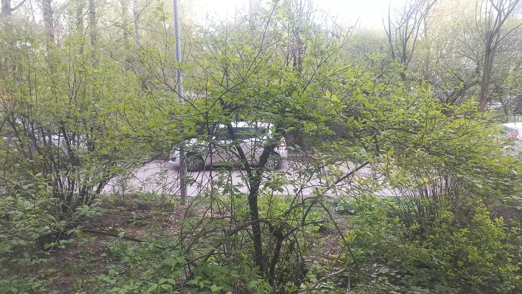 Продаётся 2-к квартира, 41.8 м - Фото 0