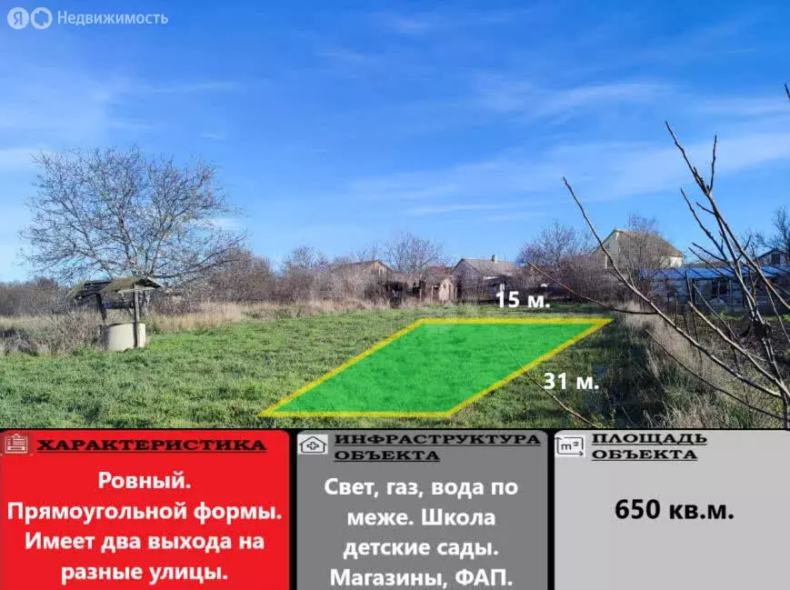 Участок в Амурское сельское поселение, село Новоалексеевка, улица ... - Фото 1