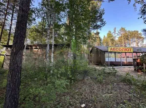 Участок в Бурятия, Прибайкальский район, с. Горячинск ул. Гагарина ... - Фото 2