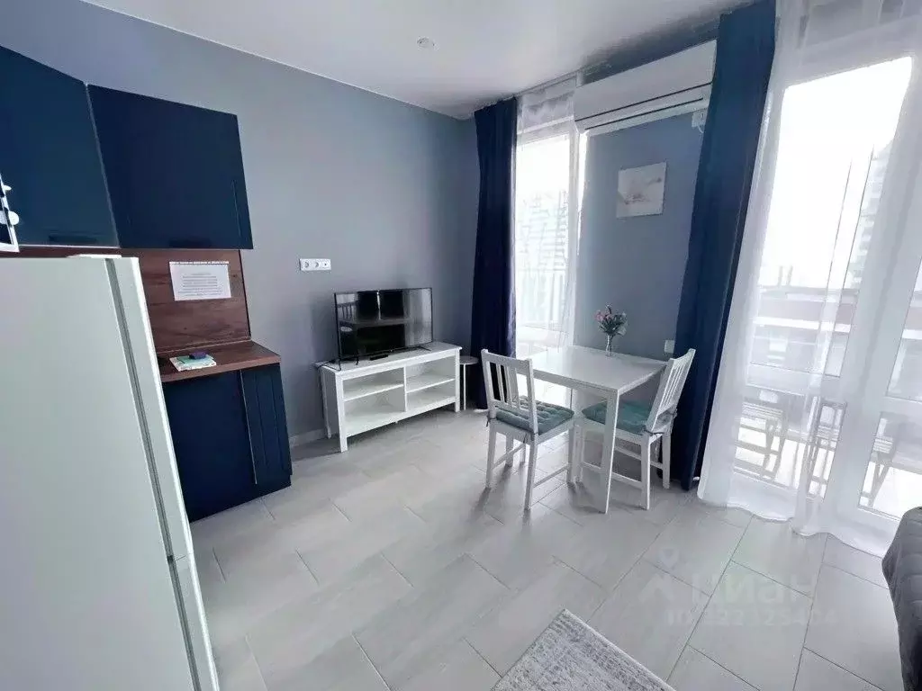 1-к кв. Краснодарский край, Сочи ул. Ленина, 298б (27.0 м) - Фото 1