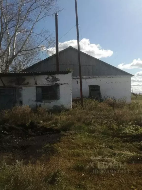 Помещение свободного назначения в Курганская область, Мокроусовский ... - Фото 1