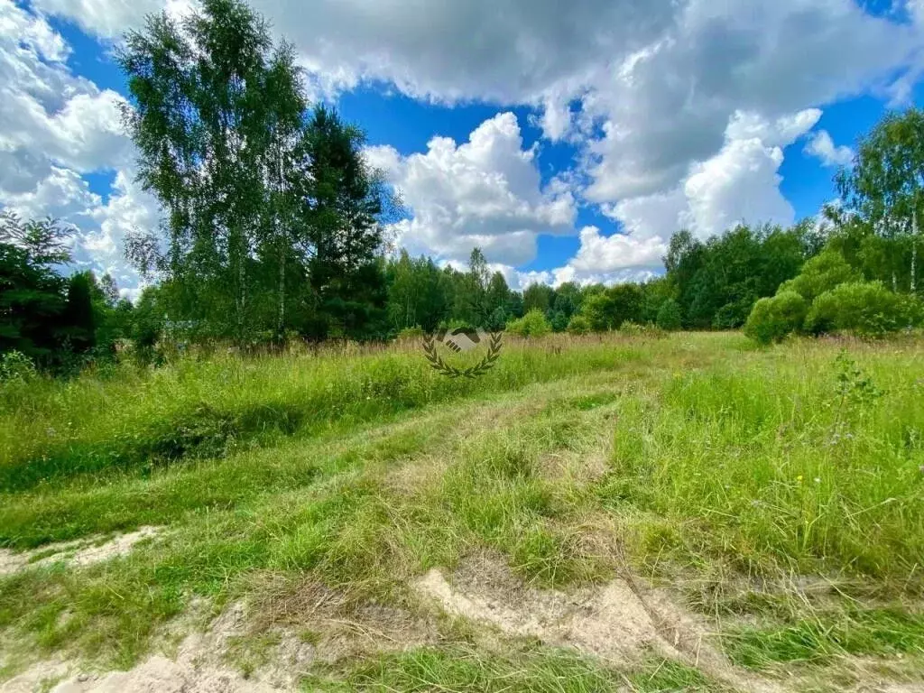 Участок в Калужская область, Перемышльский район, Большие Козлы с/пос, ... - Фото 2