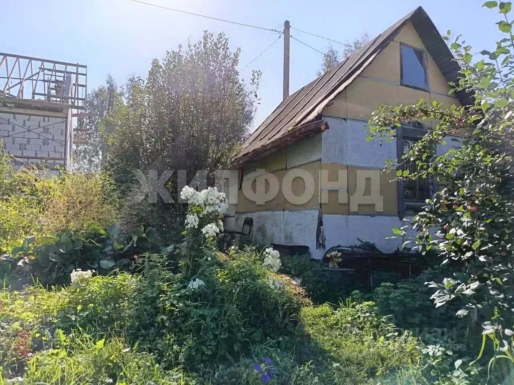 Дом в Новосибирская область, Новосибирск  (24 м) - Фото 1