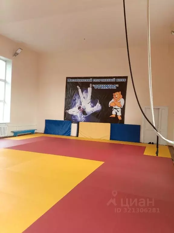 Помещение свободного назначения в Новосибирская область, Маслянино рп ... - Фото 0