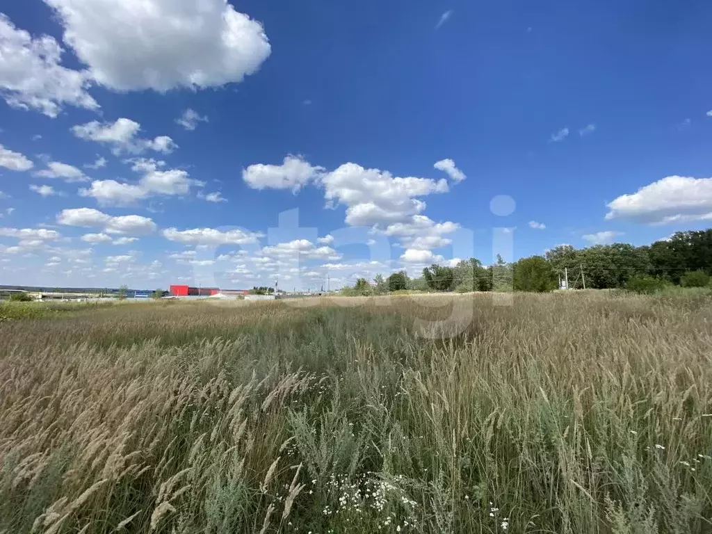 Купить Участок В Воронеже Рамонский Район