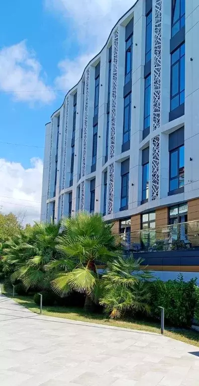 Студия Краснодарский край, Сочи ул. Макаренко, 14 (25.2 м) - Фото 2