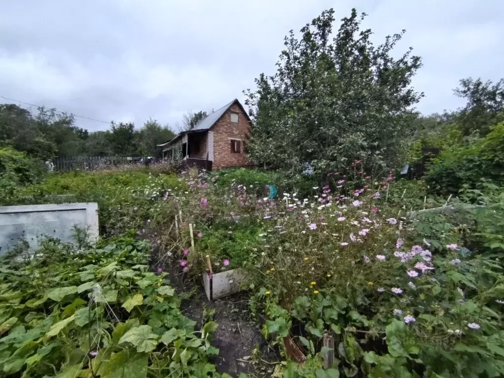 Участок в Башкортостан, Октябрьский пл. Имени Ленина (4.5 сот.) - Фото 0