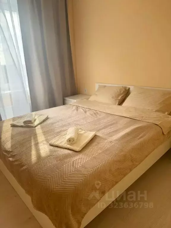 1-к кв. Псковская область, Псковский район, Завеличенская волость, д. ... - Фото 1