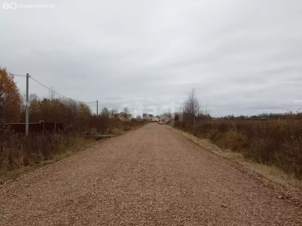 Участок в Ярославский муниципальный округ, деревня Малое Болково (1338 ... - Фото 2