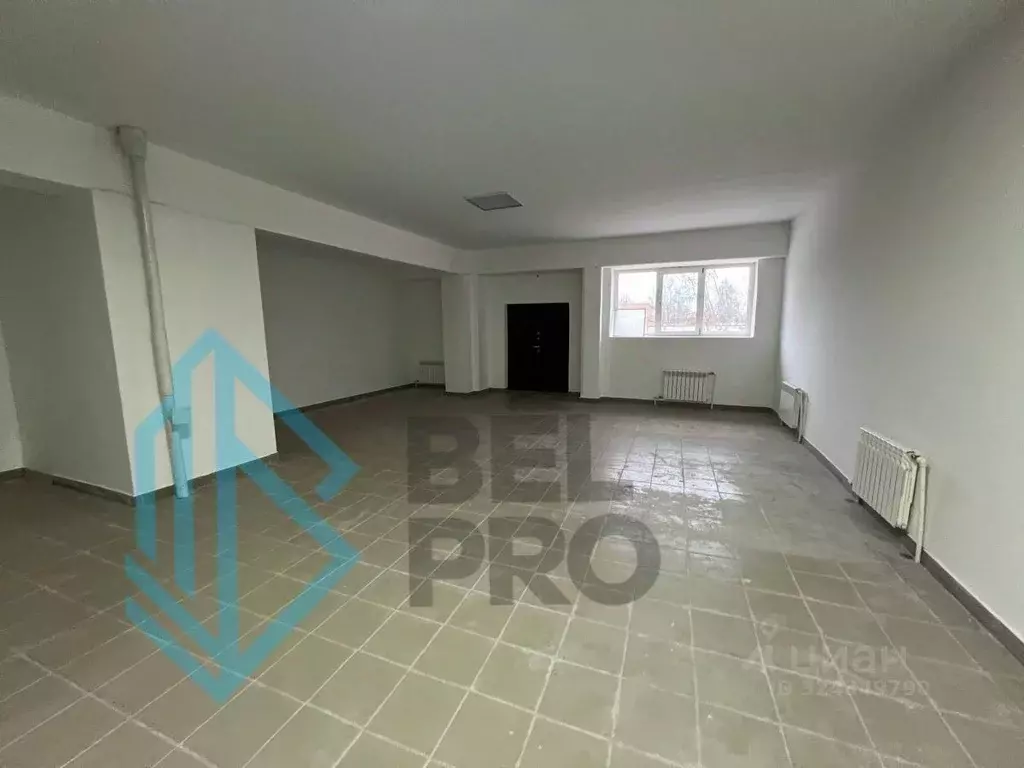 Торговая площадь в Московская область, Воскресенск Новлянский мкр, ул. ... - Фото 2