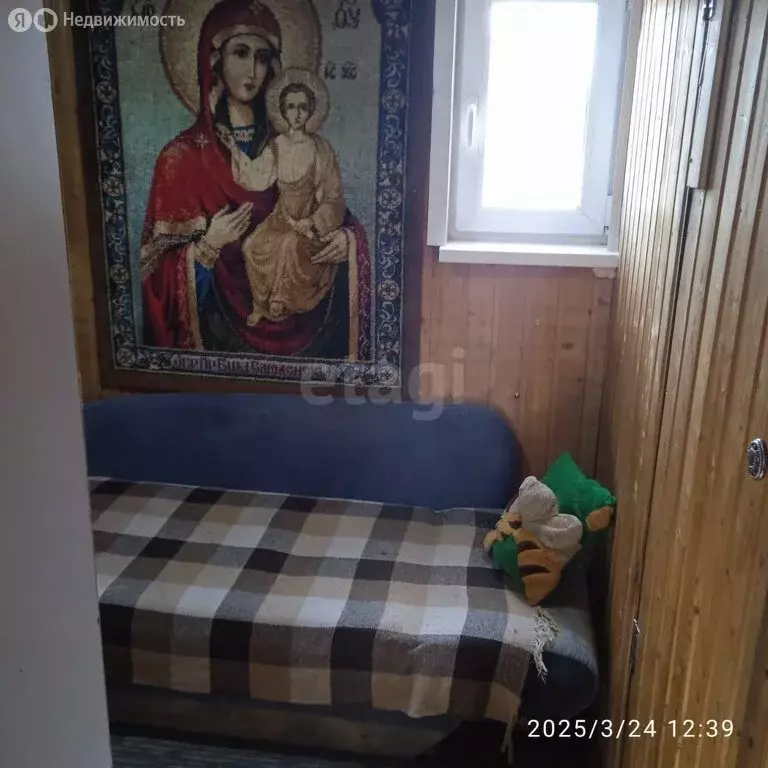 Дом в Омск, территория СОСН Электрон (30.8 м) - Фото 1