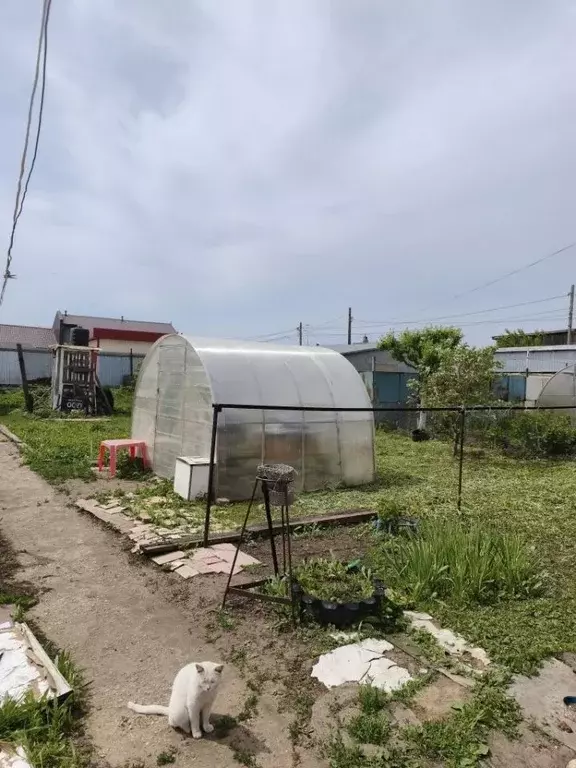 Дом в Саратовская область, Энгельсский район, Новопушкинское ... - Фото 2